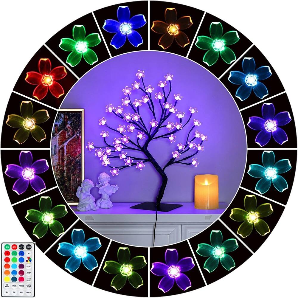 Sure, here is the corrected text:

- AUTO
- AN
- i