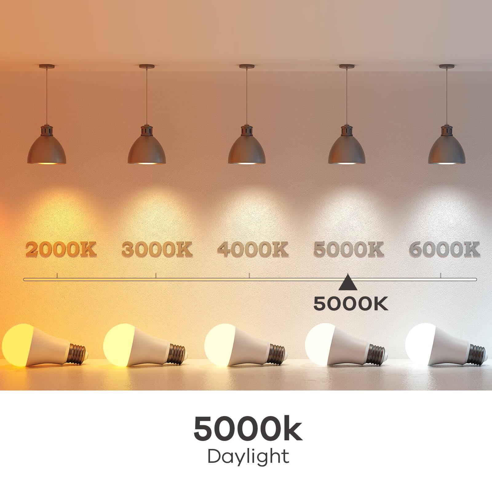 2000K 3000K 4000K 5000K 6000K  
5000K  
5000K Daylight