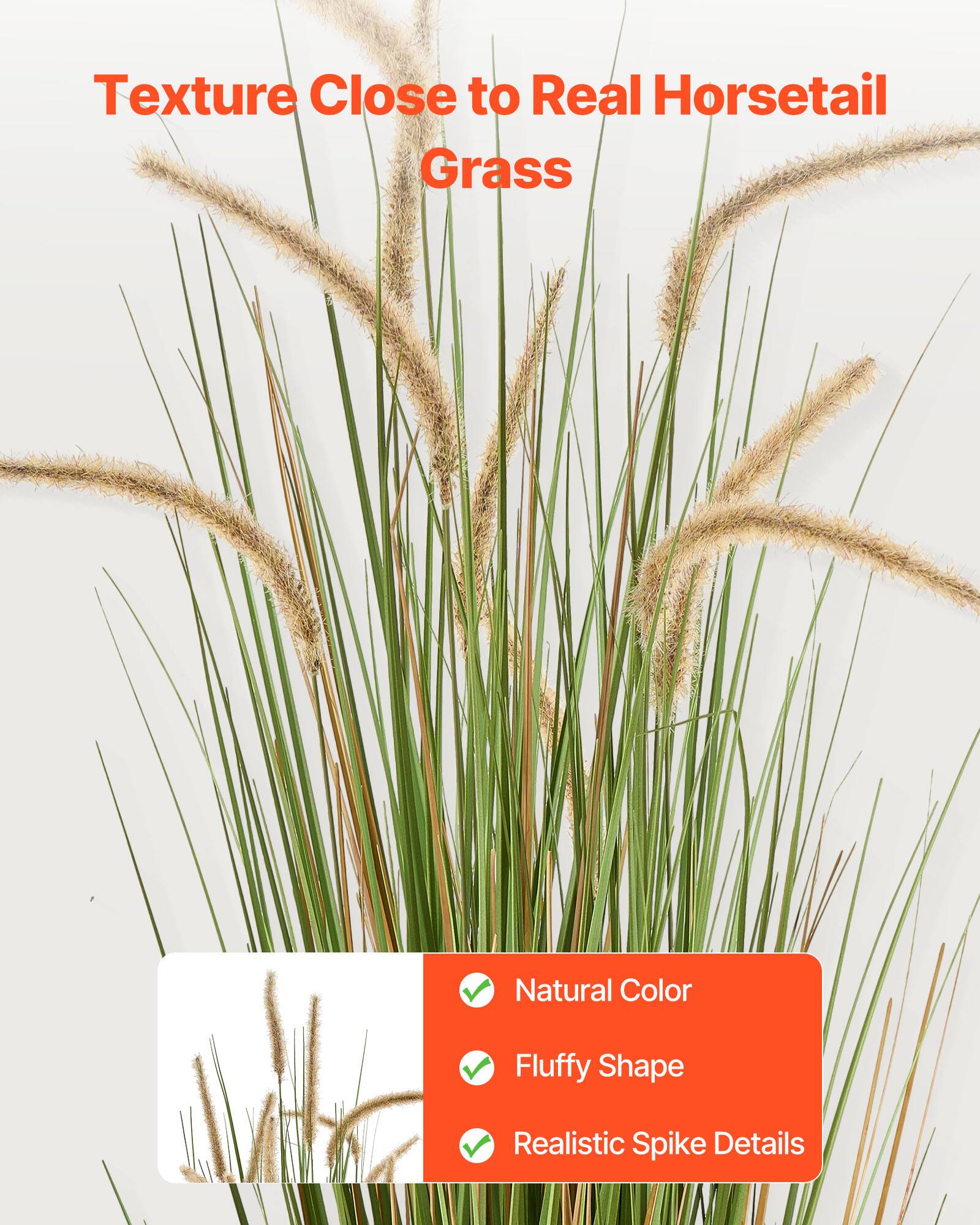 Texture Close to Real Horsetail Grass

- Natural Color
- Fluffy Shape
- Realistic Spike Details