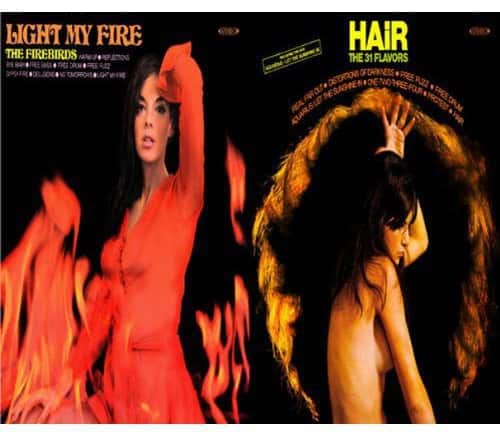 The Firebirds - Light My Fire / Hair  - COMPACT DISCS
