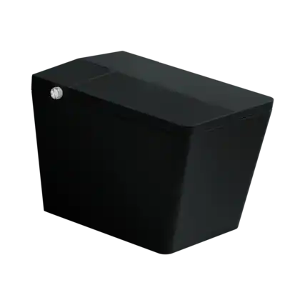 Front. ELEMENT ACE - Modern Square Smart Toilet with Built-in Tank, Remote Control, Touchless Operation, Auto Flush, Heated Seat, LED Display - Matte Black.