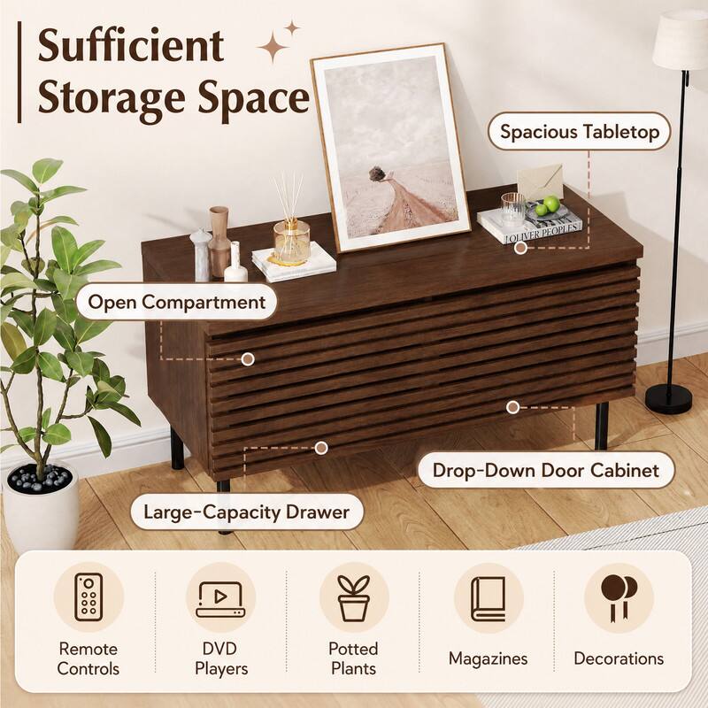 Sufficient Storage Space  
Spacious Tabletop  
JOLIVER PEOPLES  
Open Compartment  
Drop-Down Door Cabinet  
Large-Capacity Drawer  
Remote Controls  
DVD Players  
Potted Plants  
Magazines  
Decorations