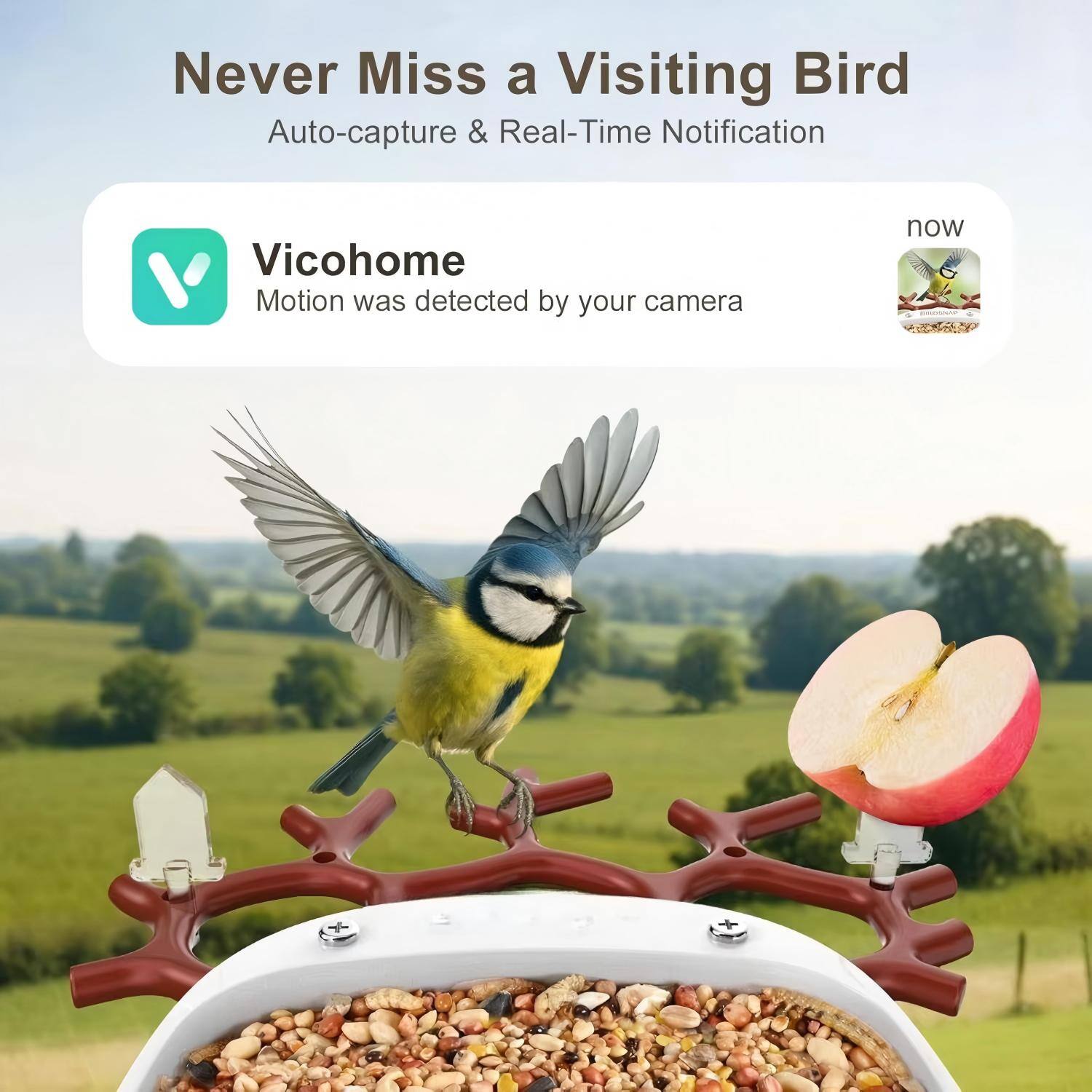 Never Miss a Visiting Bird  
Auto-capture & Real-Time Notification  

Vicohome  
Motion was detected by your camera  

now