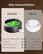 Why Choose EZVALO
EZVALO
- 2000mAh Rechargeable Battery
- 12 RGB colors
- 2 Dynamic lighting modes
- Environmental protection
Others
- Replace AAA Battery
- No RGB lighting
- Static lighting only
- Eliminates battery waste