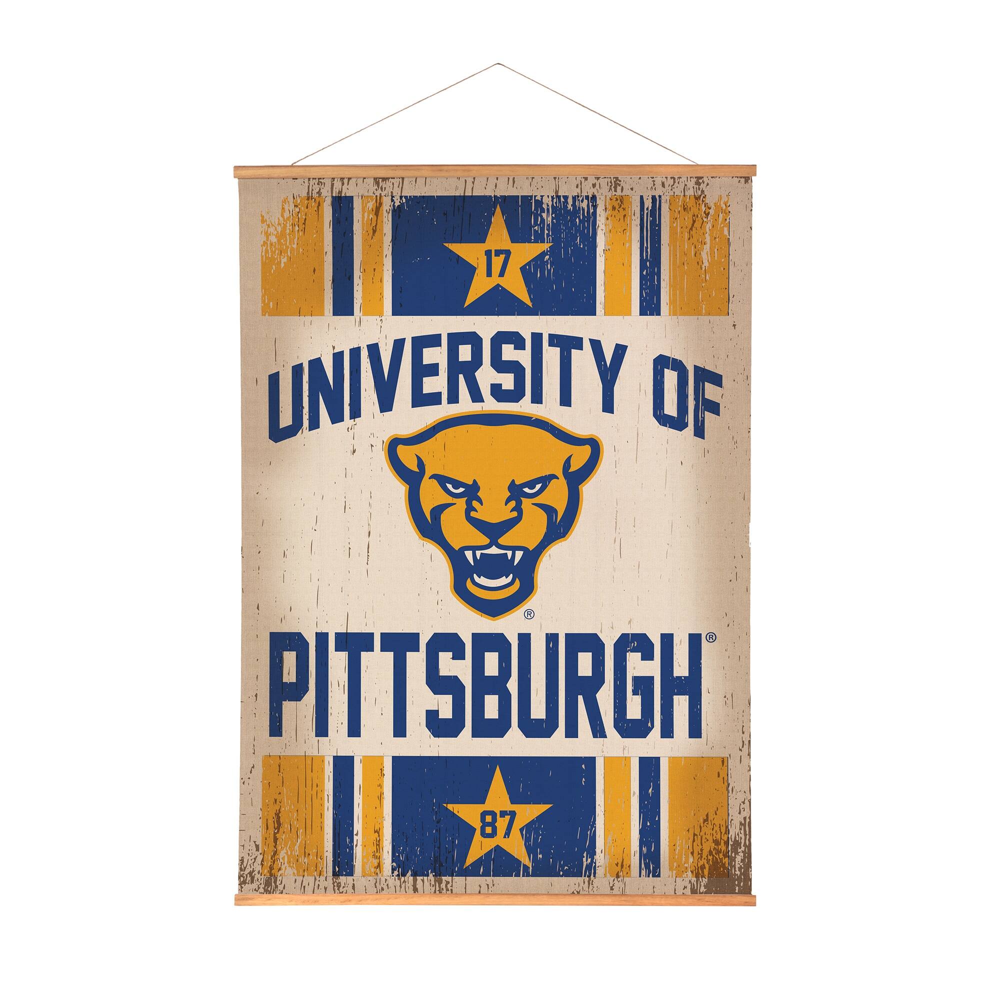 Pitt Panthers 36" x 54" Large Canvas Wall Art Tapestry with Wood Frame
