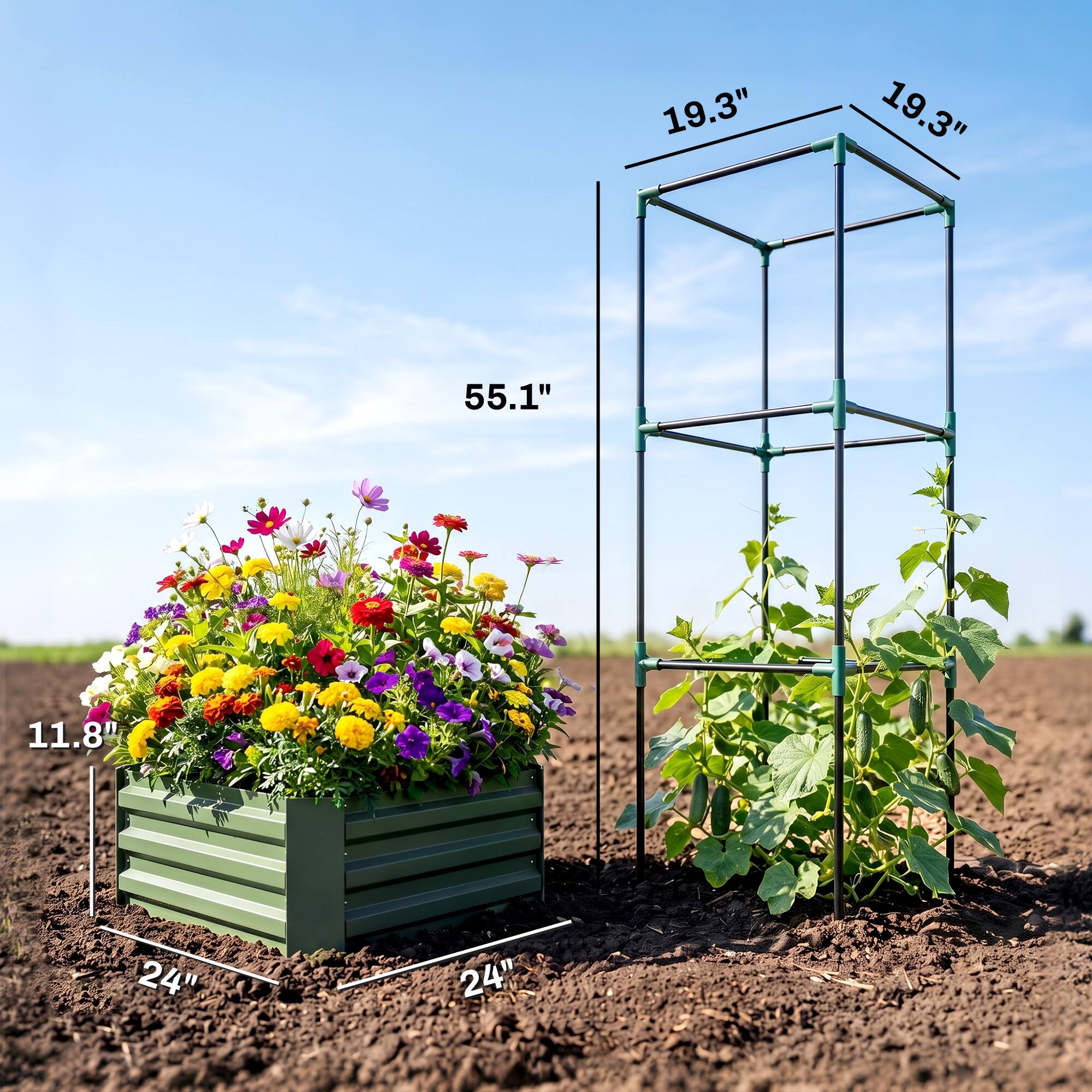 19.3"  
19.3"  
55.1"  
11.8"  
24"  
24"