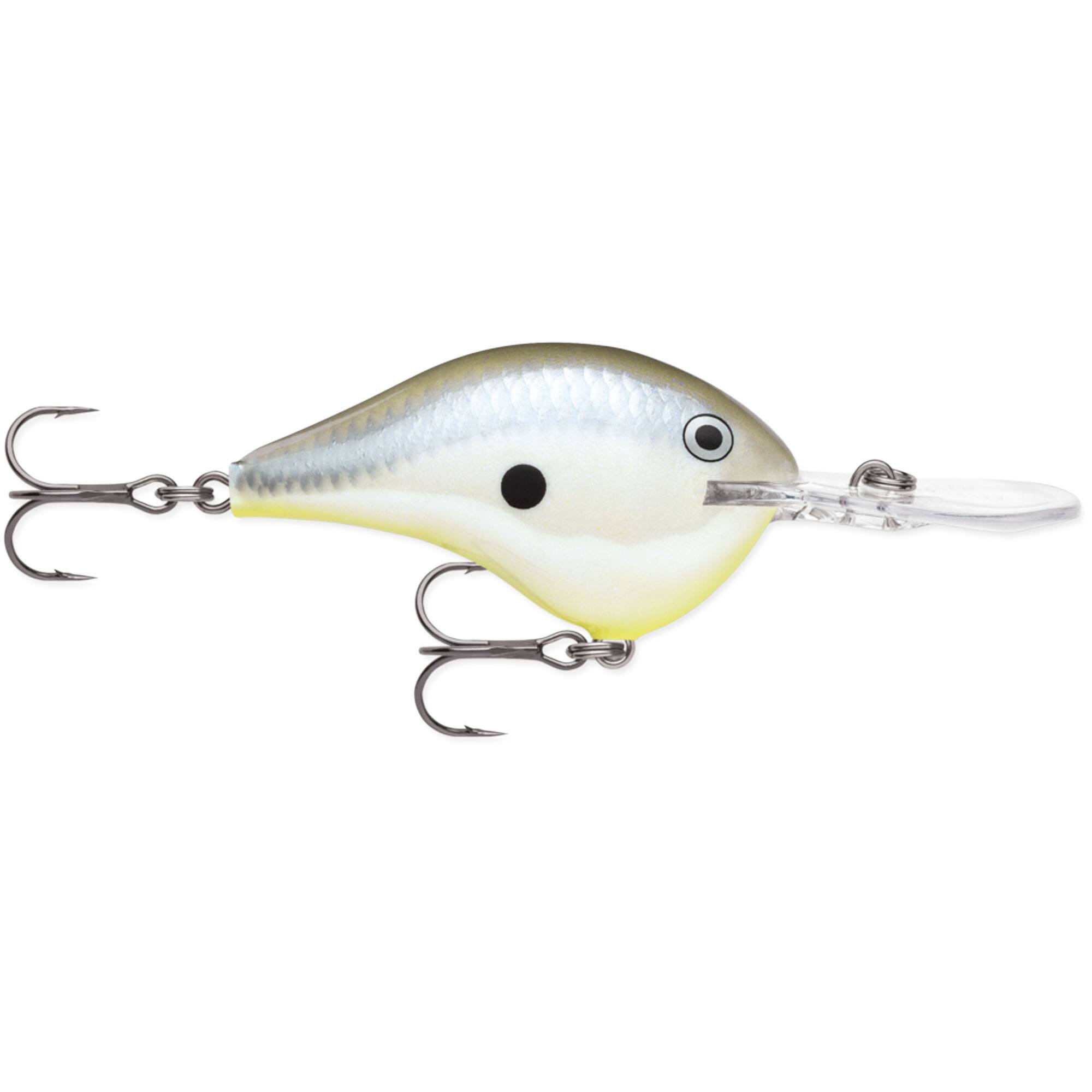 Disco Shad