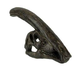 Zeckos - 8 in Parasaurolophus Dinosaur Skull Fossil Resin Statue Home Office Decor - Brown