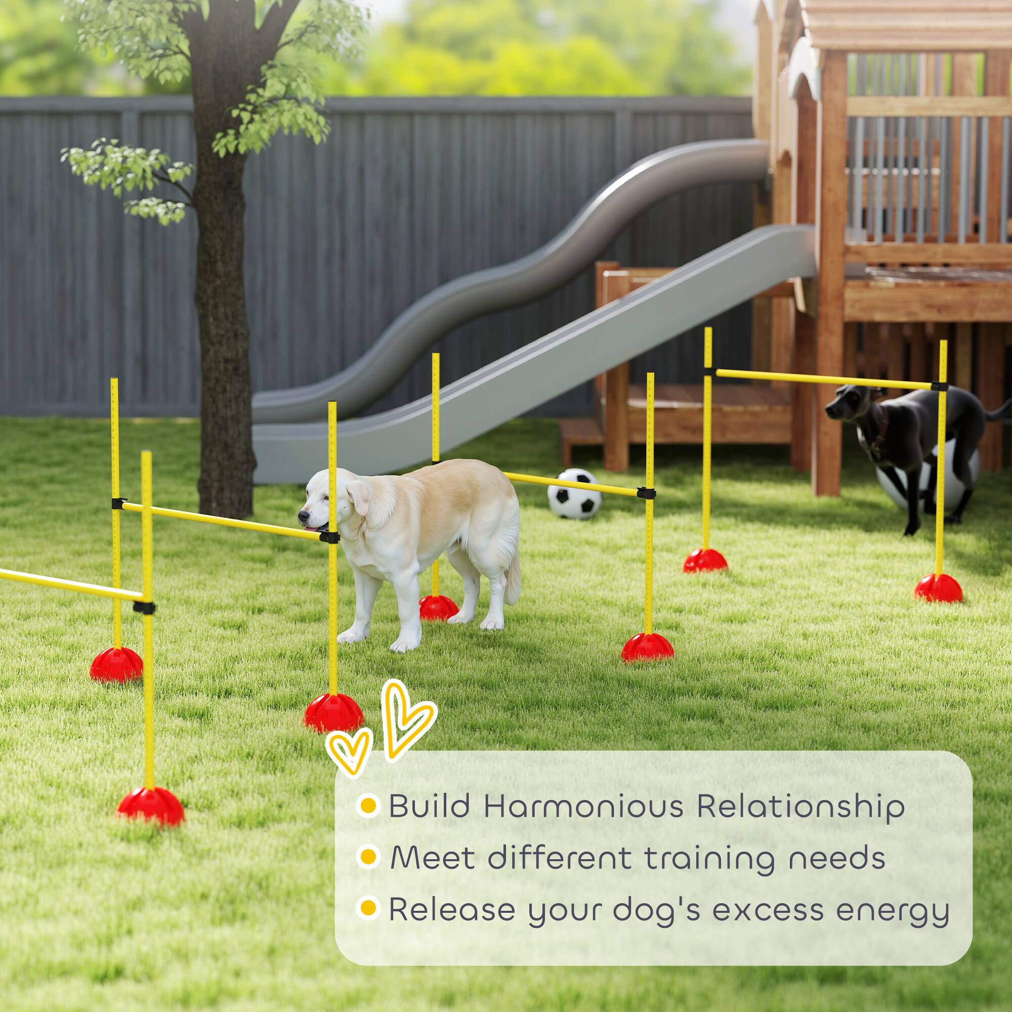 - Build Harmonious Relationship
- Meet different training needs
- Release your dog's excess energy