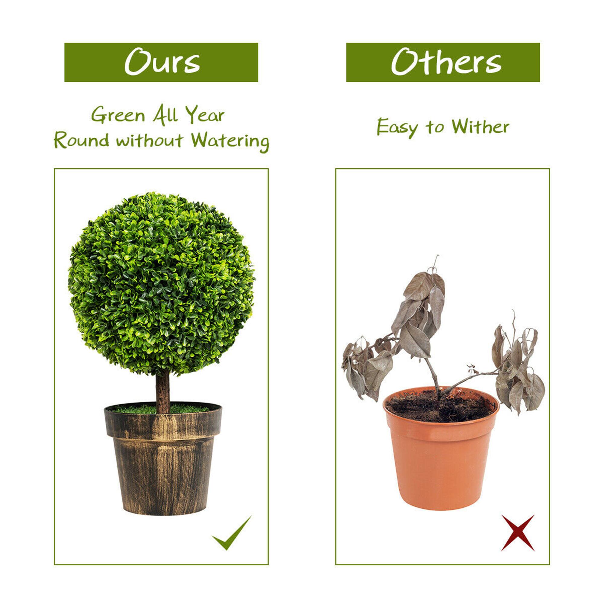 Ours: Green All Year Round without Watering  
Others: Easy to Withstand
