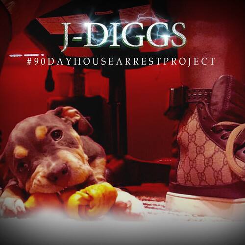 J. Diggs - #90Dayhousearrestproject   - COMPACT DISCS [CD] price history on PriceWatchPro