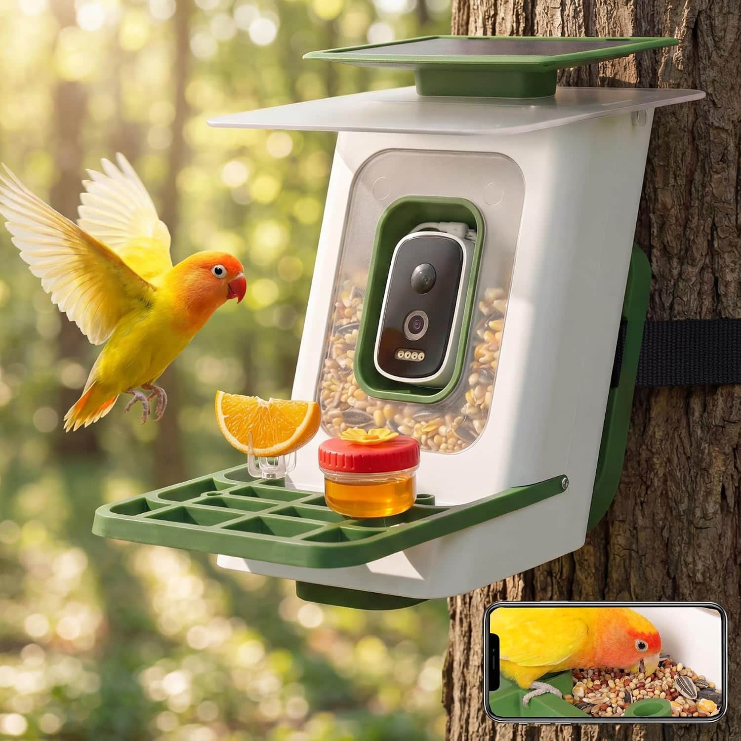Yardgrace - Smart Bird Feeder with Camera, Solar Powered AI Bird Recognition Bird Camera, 2.5K HD Auto Capture & Instant Alerts - White