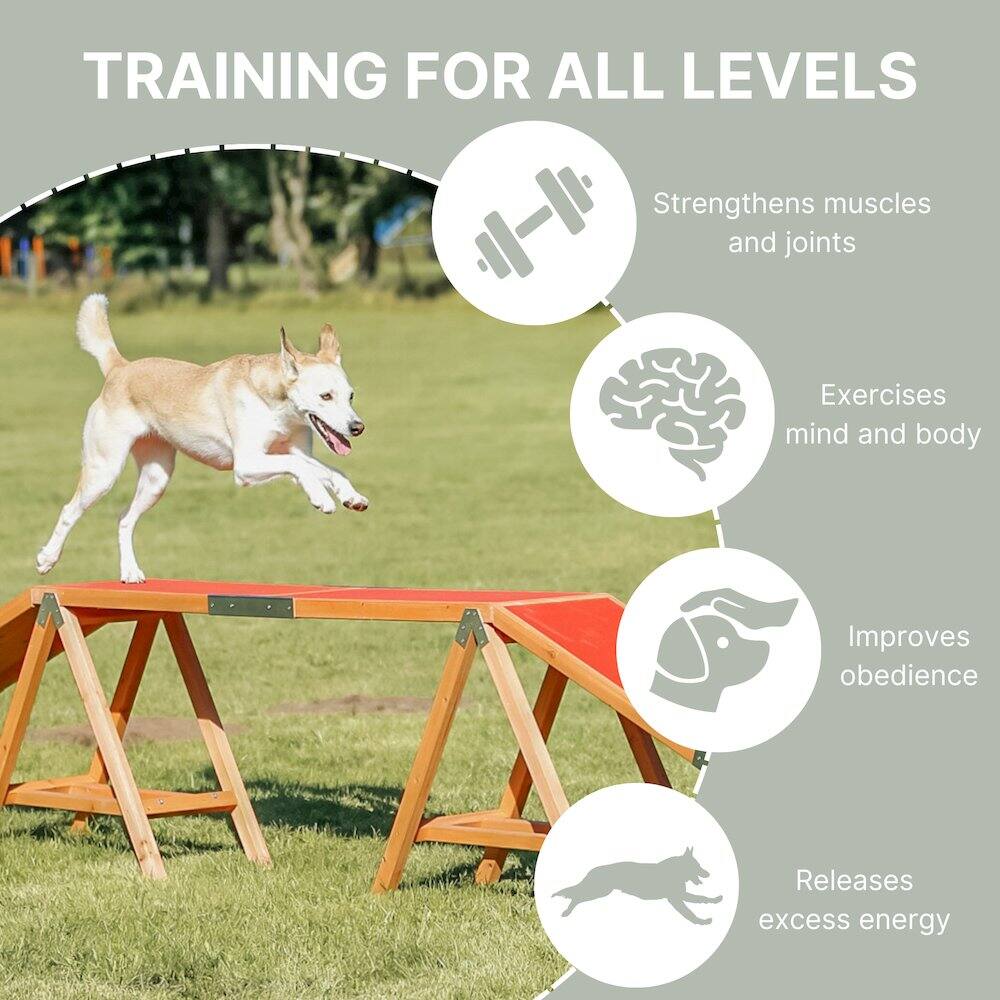 TRAINING FOR ALL LEVELS

- Strengthens muscles and joints
- Exercises mind and body
- Improves obedience
- Releases excess energy