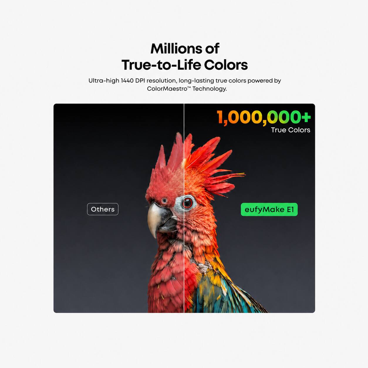 Millions of True-to-Life Colors

Ultra-high 1440 DPI resolution, long-lasting true colors powered by ColorMaestro™ Technology.

1,000,000+ True Colors

Others

eufyMake E1