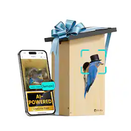 BIRDFY - Smart Bird House Camera Ebony, AI Bird ID Lifetime Free, Solar Panel, Gift for Bird Lovers&Outdoor Birdwatching - Natural Wood Finish & Black