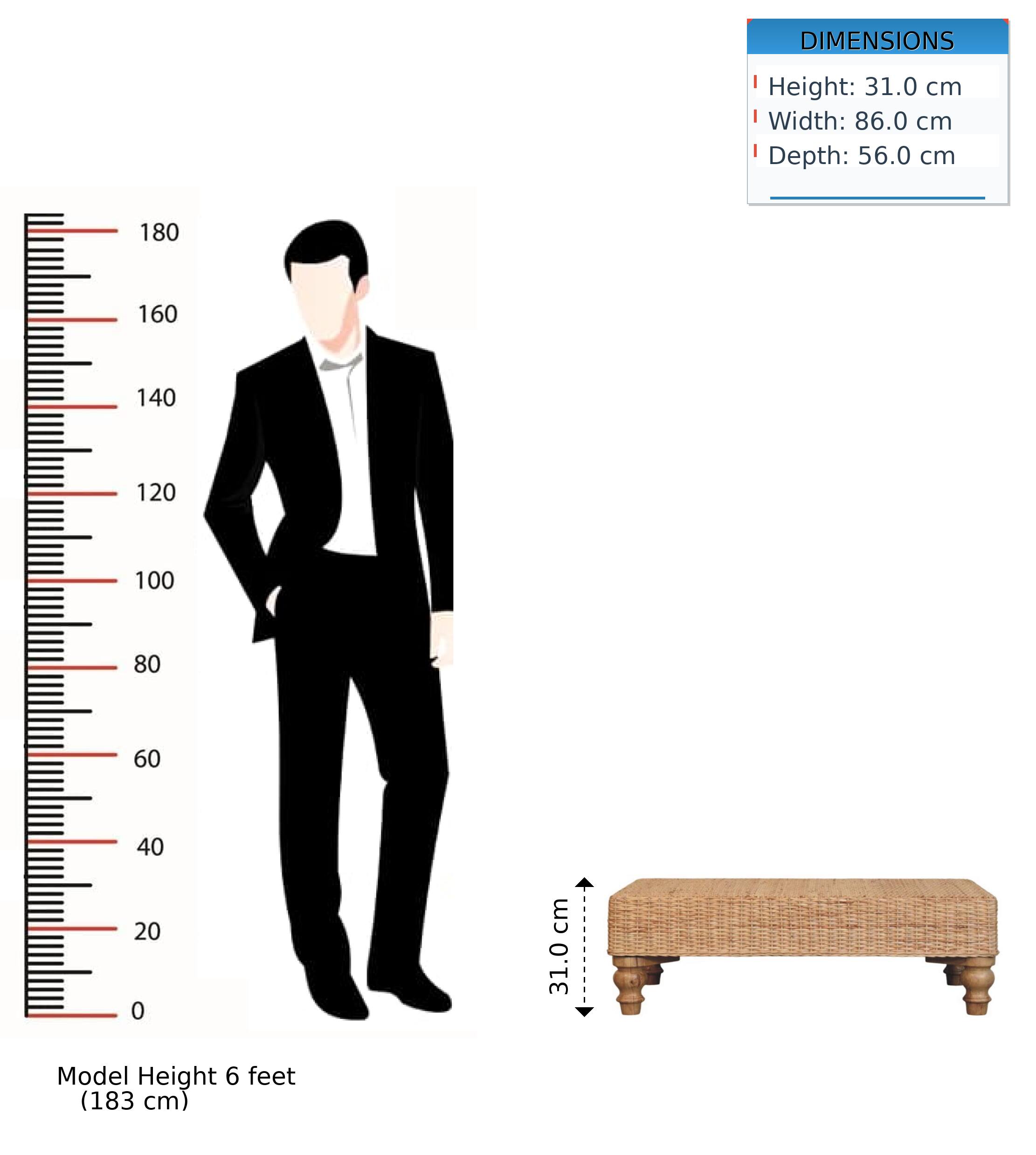 DIMENSIONS  
Height: 31.0 cm  
Width: 86.0 cm  
Depth: 56.0 cm  

Model Height: 6 feet (183 cm)