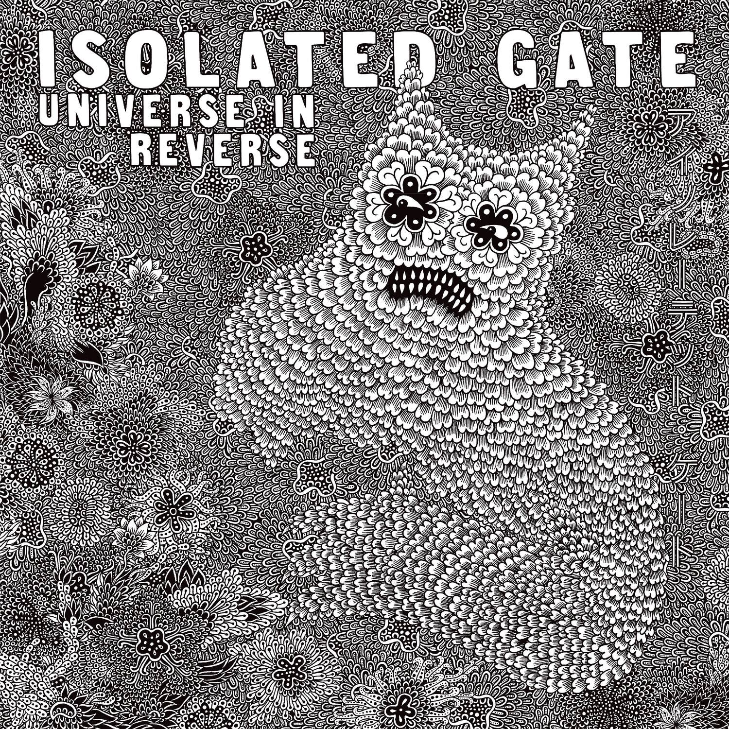 ISOLATED GATE  
UNIVERSE IN REVERSE