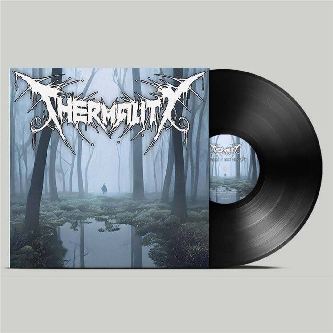 Before I Get To Rest [LP] [VINYL] price history on PriceWatchPro