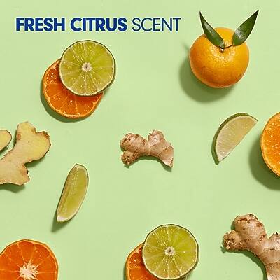 FRESH CITRUS SCENT