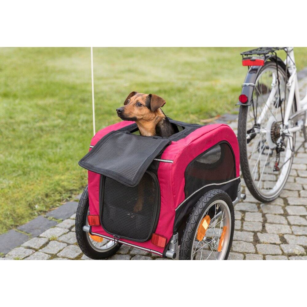 Angle. TRIXIE - Foldable Bicycle Trailer for Dogs with Windows & Large Door, Black & Red - Black/Red.