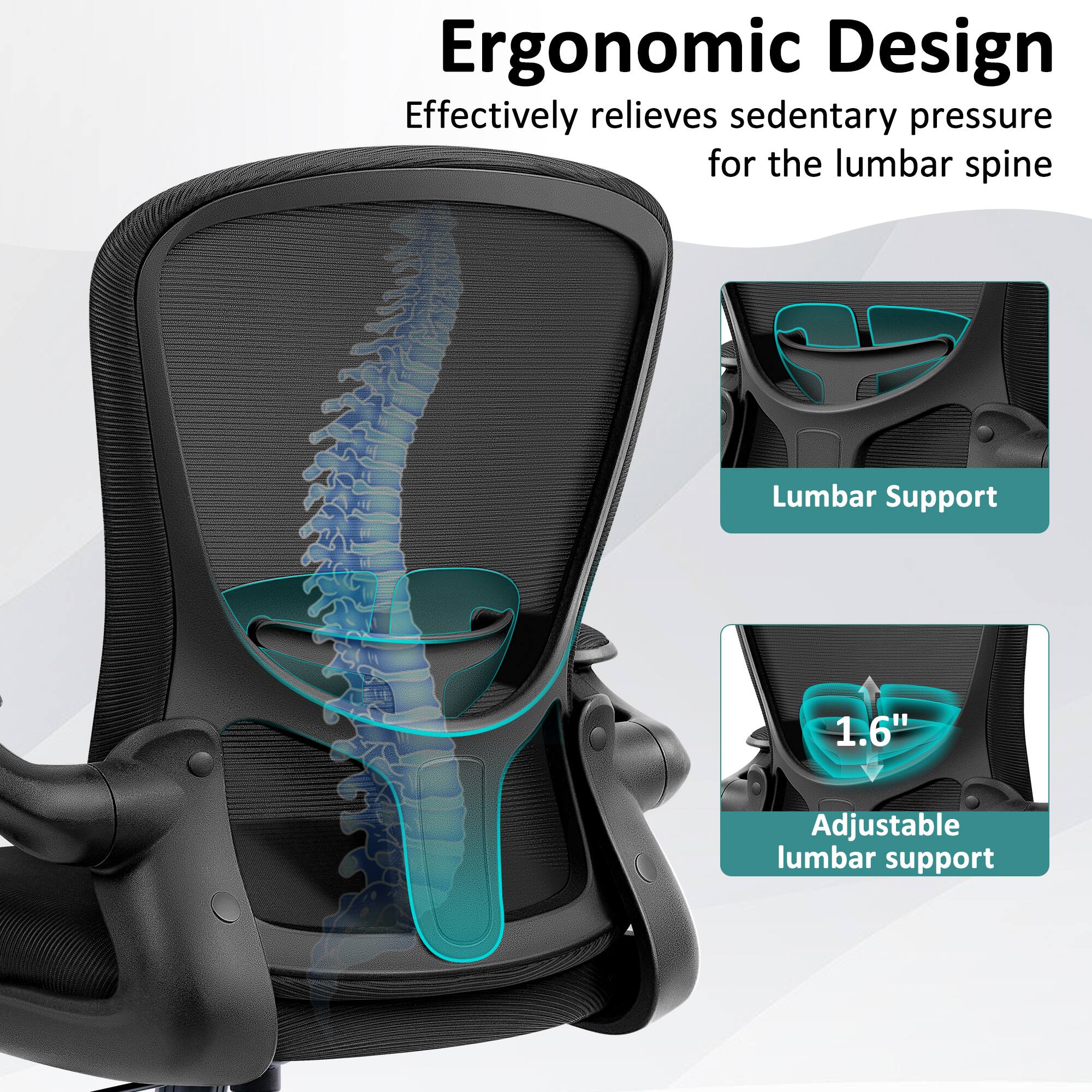 Ergonomic Design  
Effectively relieves sedentary pressure for the lumbar spine  

Lumbar Support  
1.6" Adjustable lumbar support