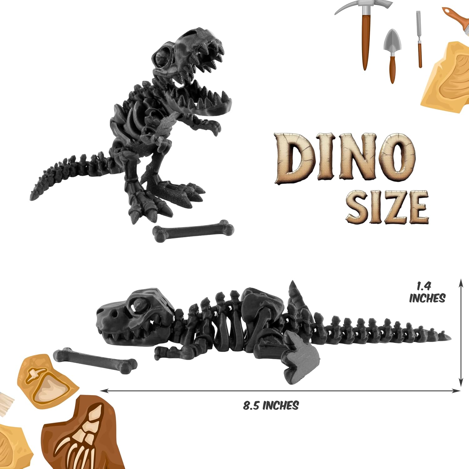 DINO SIZE  
1.4 INCHES  
8.5 INCHES