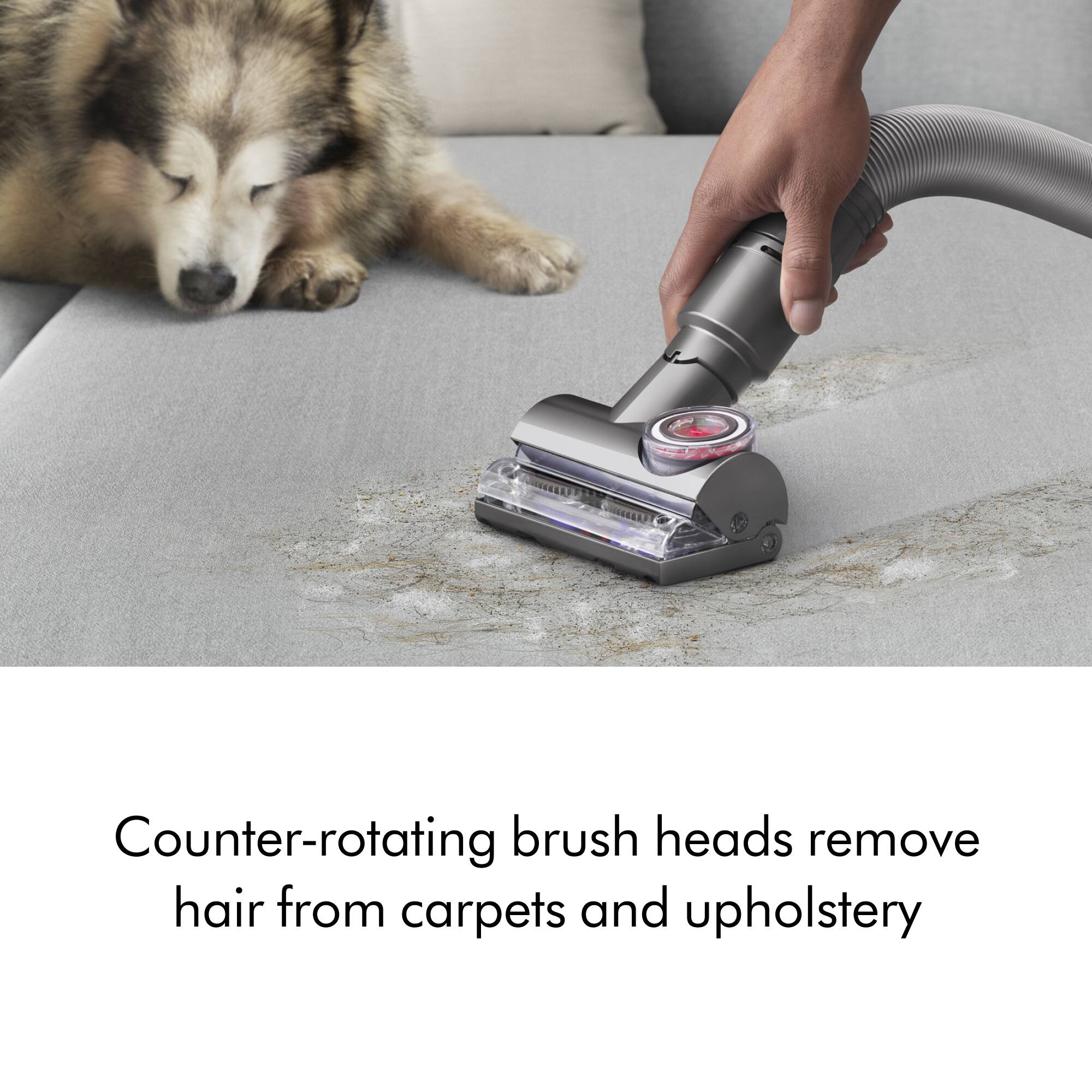 Counter-rotating brush heads remove hair from carpets and upholstery