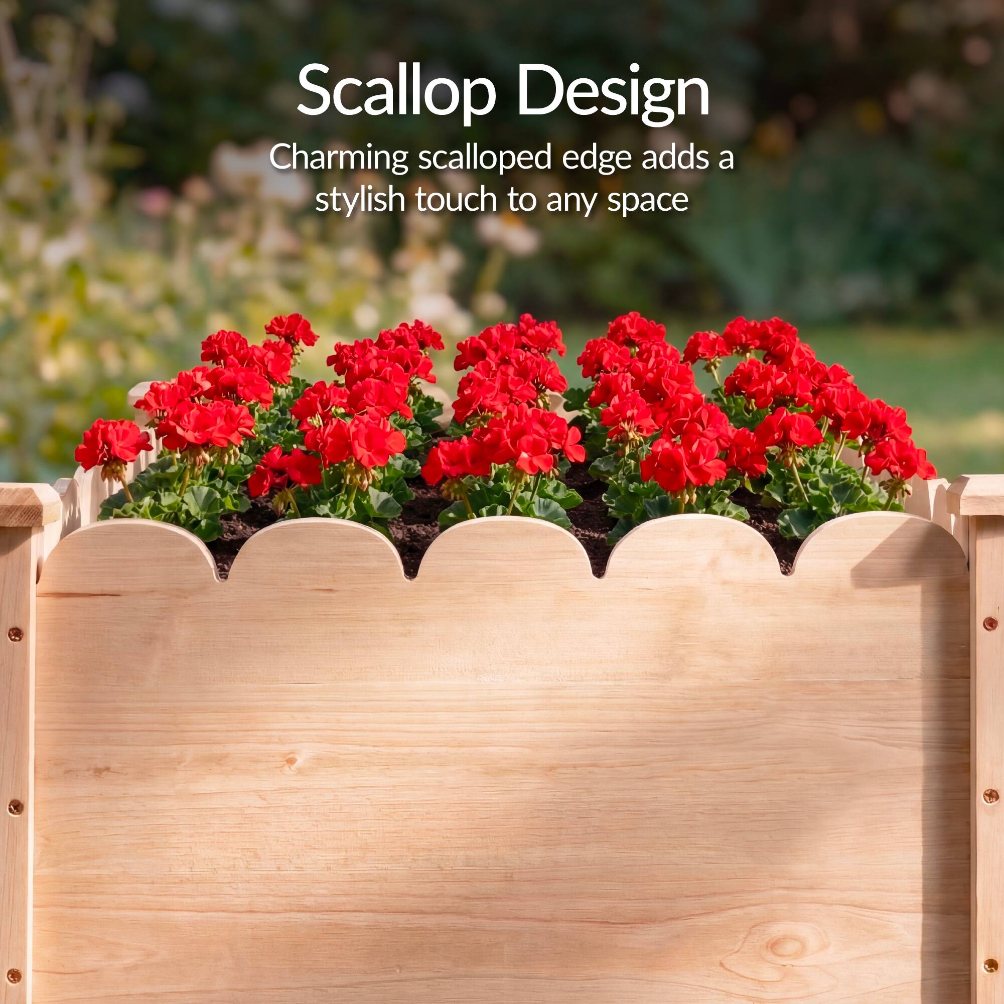 Scallop Design  
Charming scalloped edge adds a stylish touch to any space