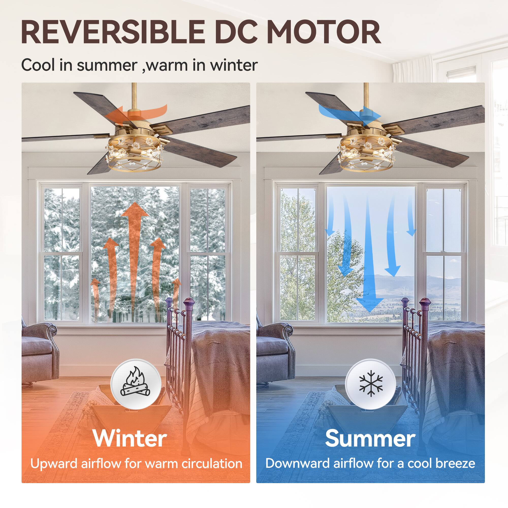REVERSIBLE DC MOTOR  
Cool in summer, warm in winter  

Winter  
Upward airflow for warm circulation  

Summer  
Downward airflow for a cool breeze