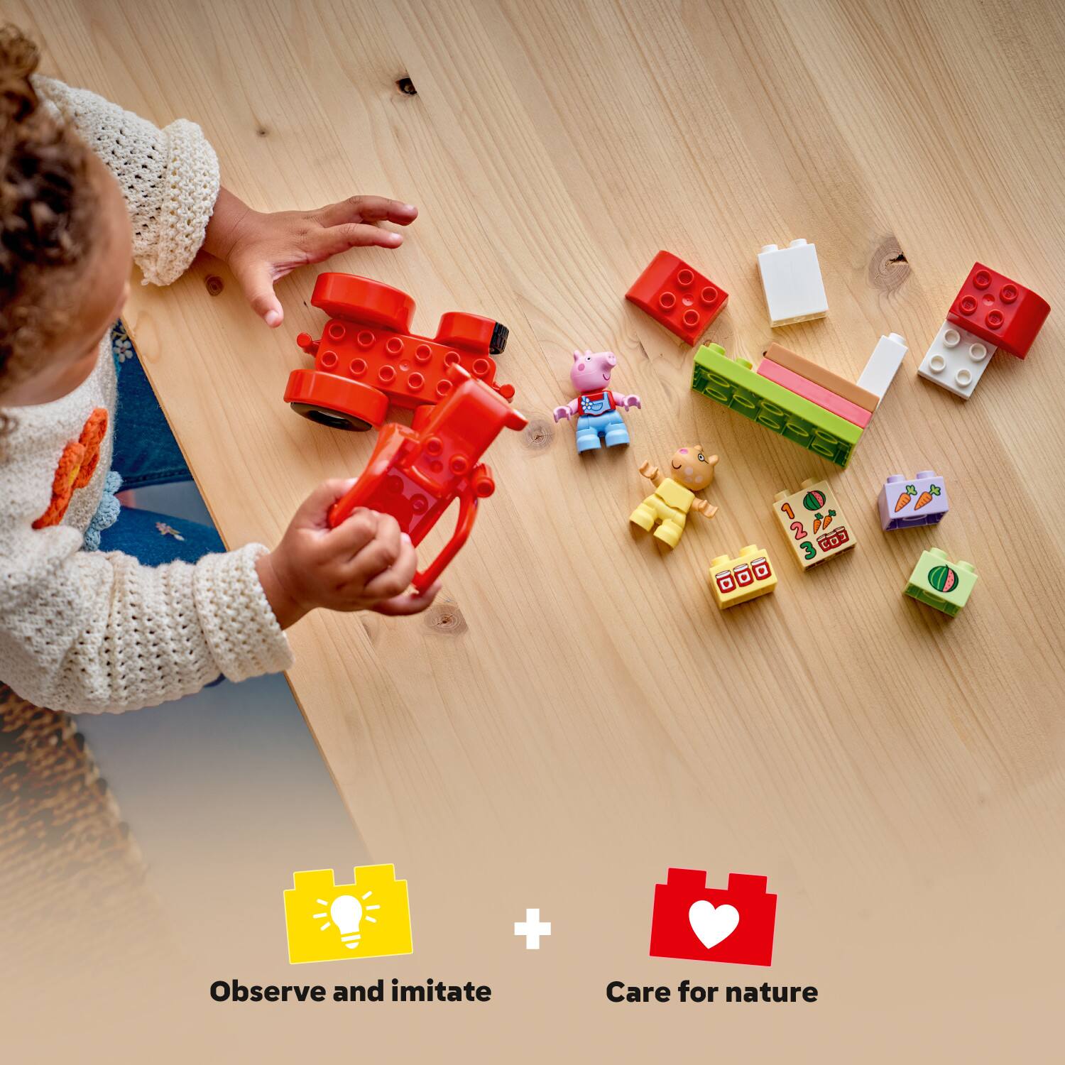 D   1 2 GOJ 3 + Observe and imitate Care for nature