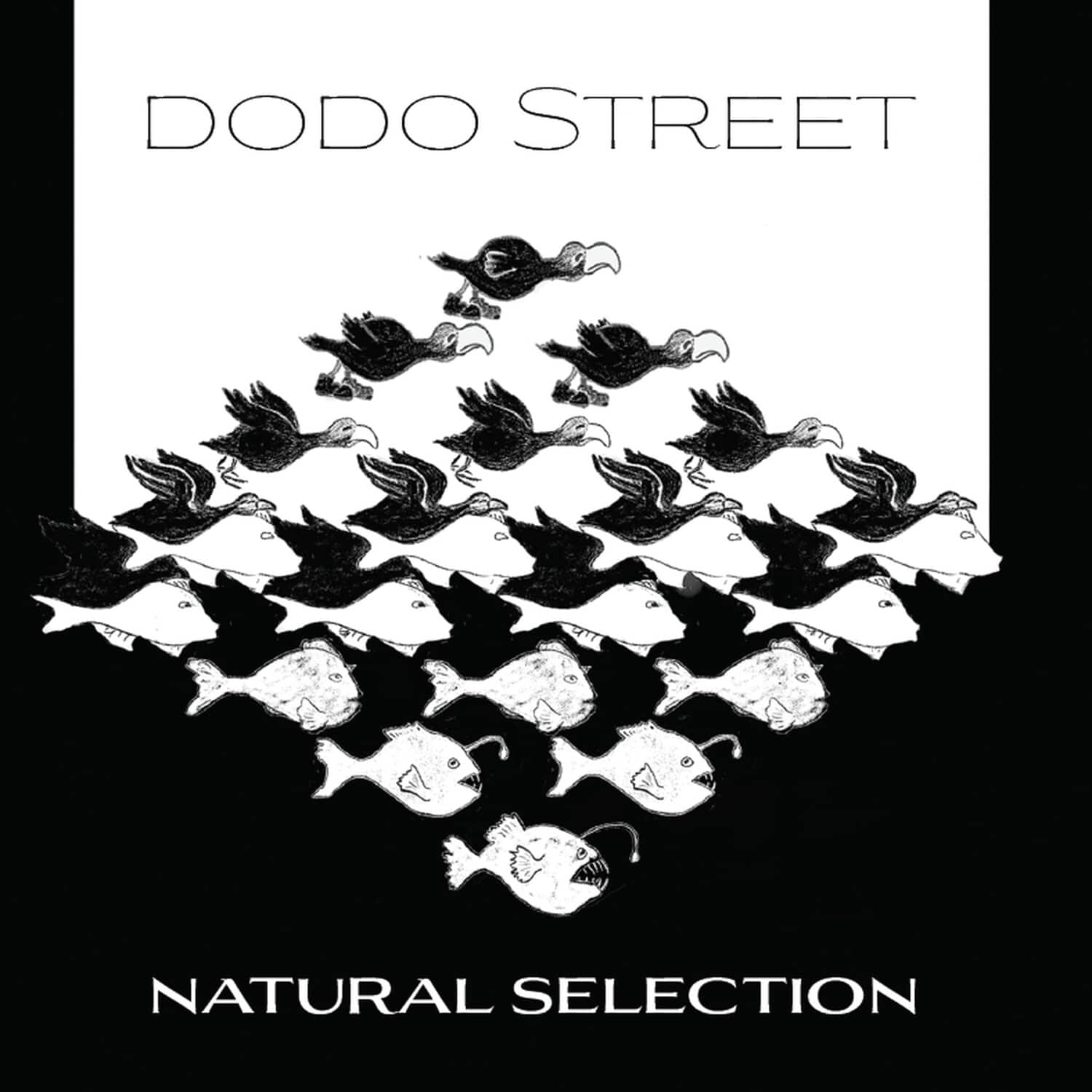 Adams / Dodo Street Band / Byrne - Natural Selection  - COMPACT DISCS