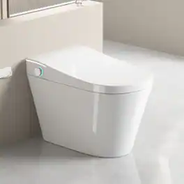 Loheer - One Piece Smart Toilet with Built In Bidet, Heated Seat and Auto Open Close Lid - White