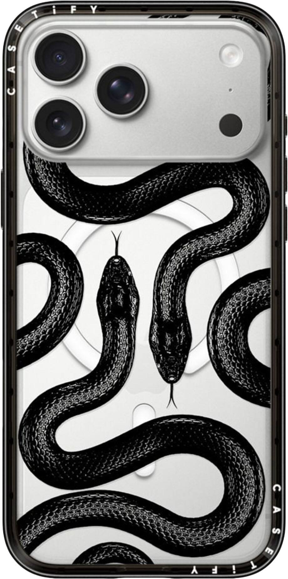 Black Kingsnake