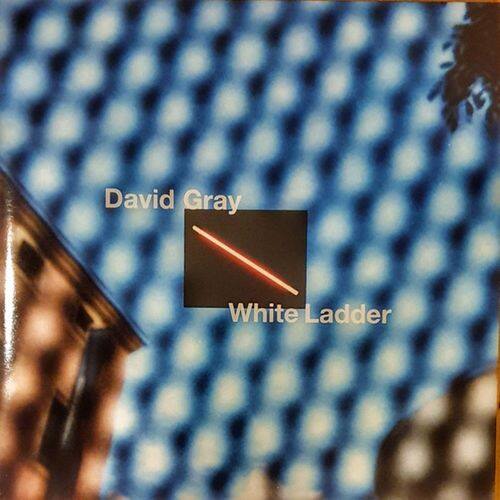 Front. White Ladder [LP].
