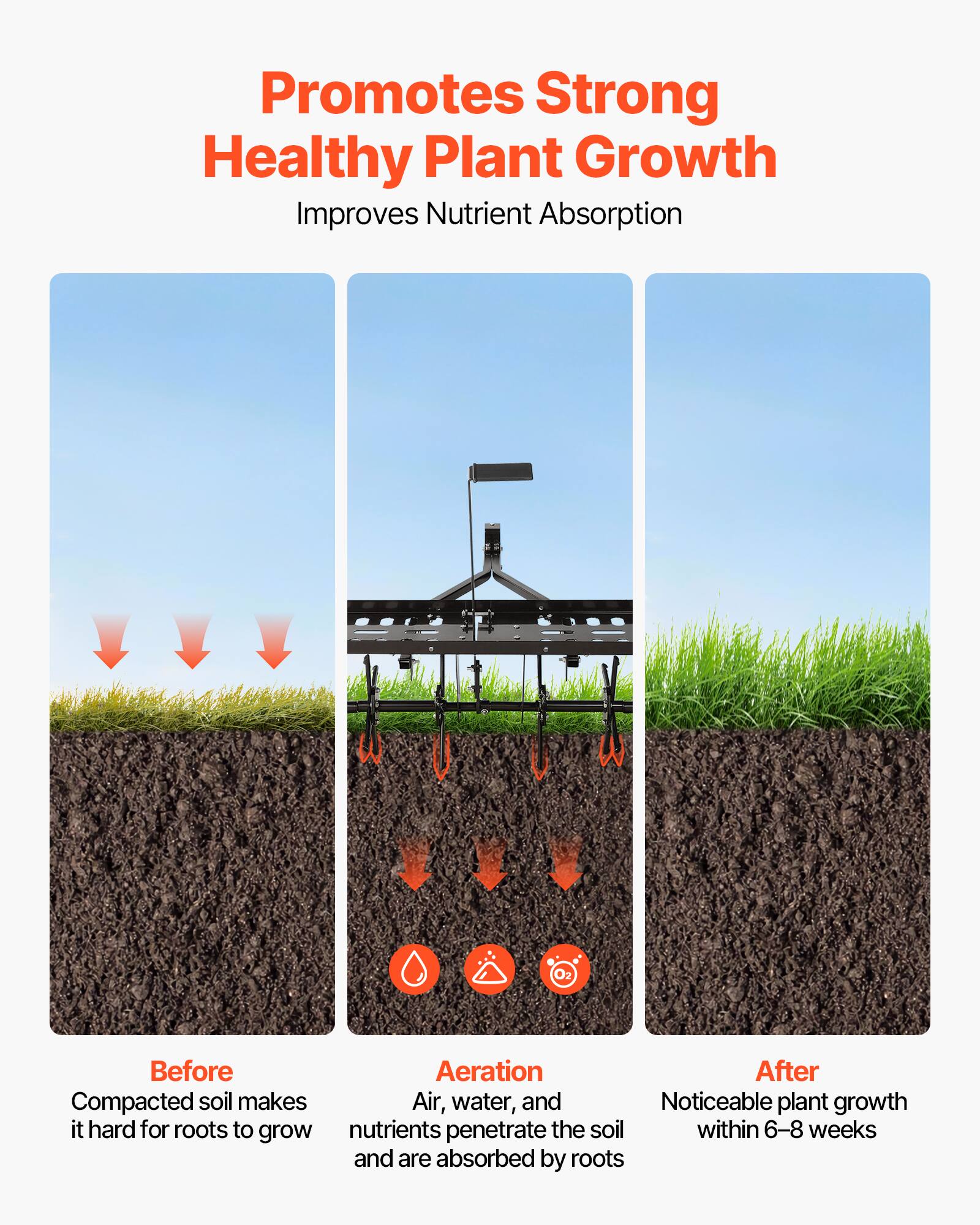 Promotes Strong Healthy Plant Growth  
Improves Nutrient Absorption  

Before  
Compacted soil makes it hard for roots to grow  

Aeration  
Air, water, and nutrients penetrate the soil and are absorbed by roots  

After  
Noticeable plant growth within 6-8 weeks