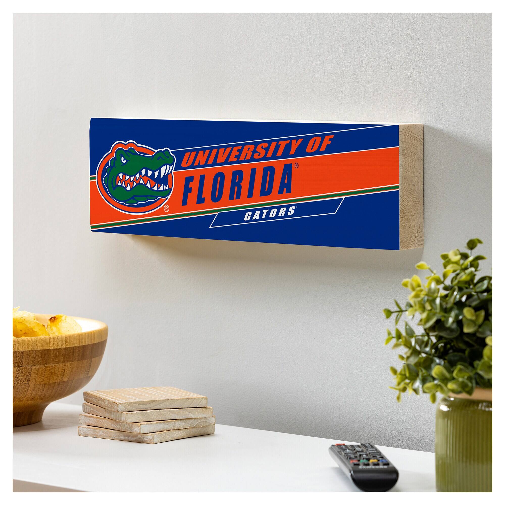 UNIVERSITY OF FLORIDA  
GATORS