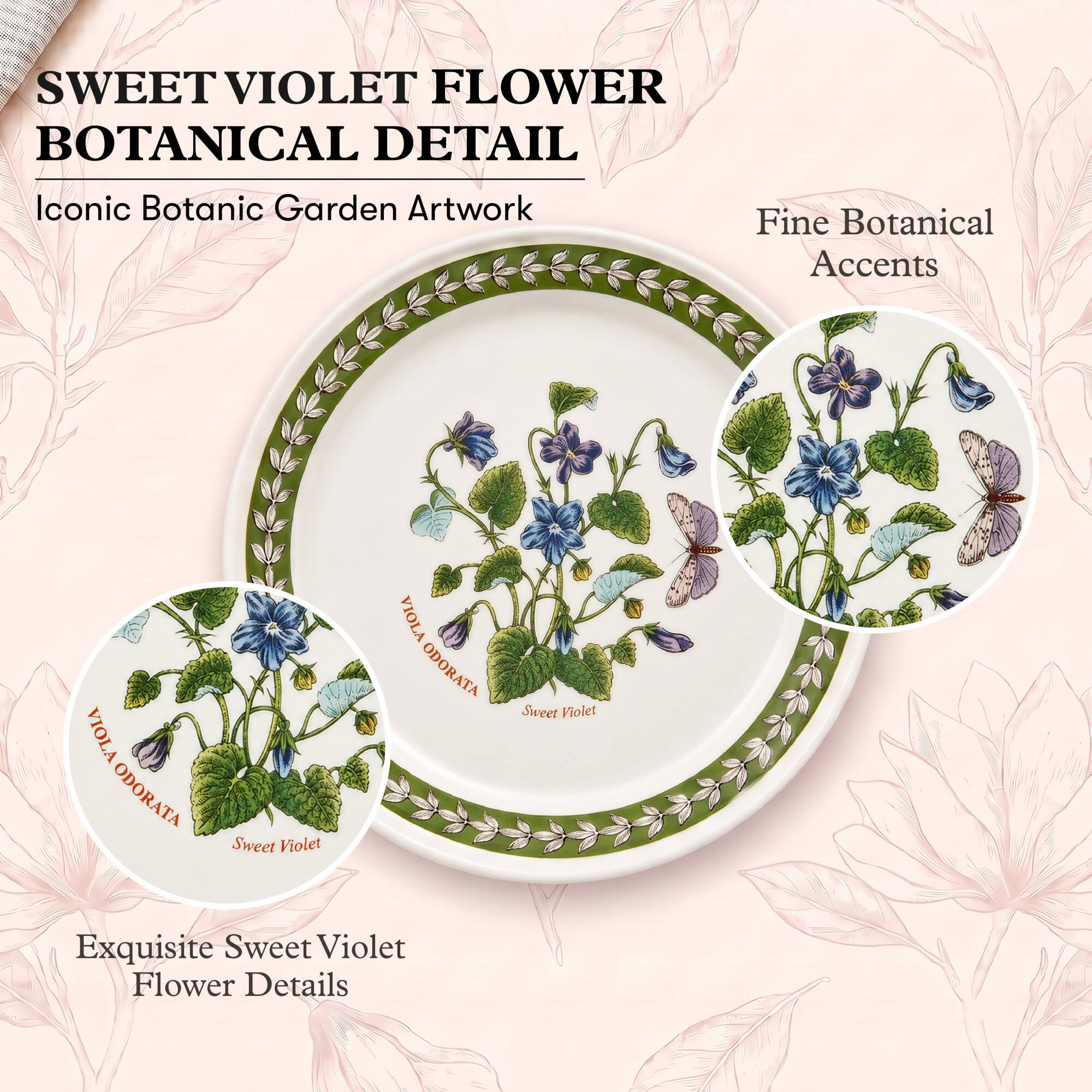 SWEET VIOLET FLOWER BOTANICAL DETAIL

Iconic Botanic Garden Artwork

Fine Botanical Accents

VIOLA ODORATA
Sweet Violet

Exquisite Sweet Violet Flower Details