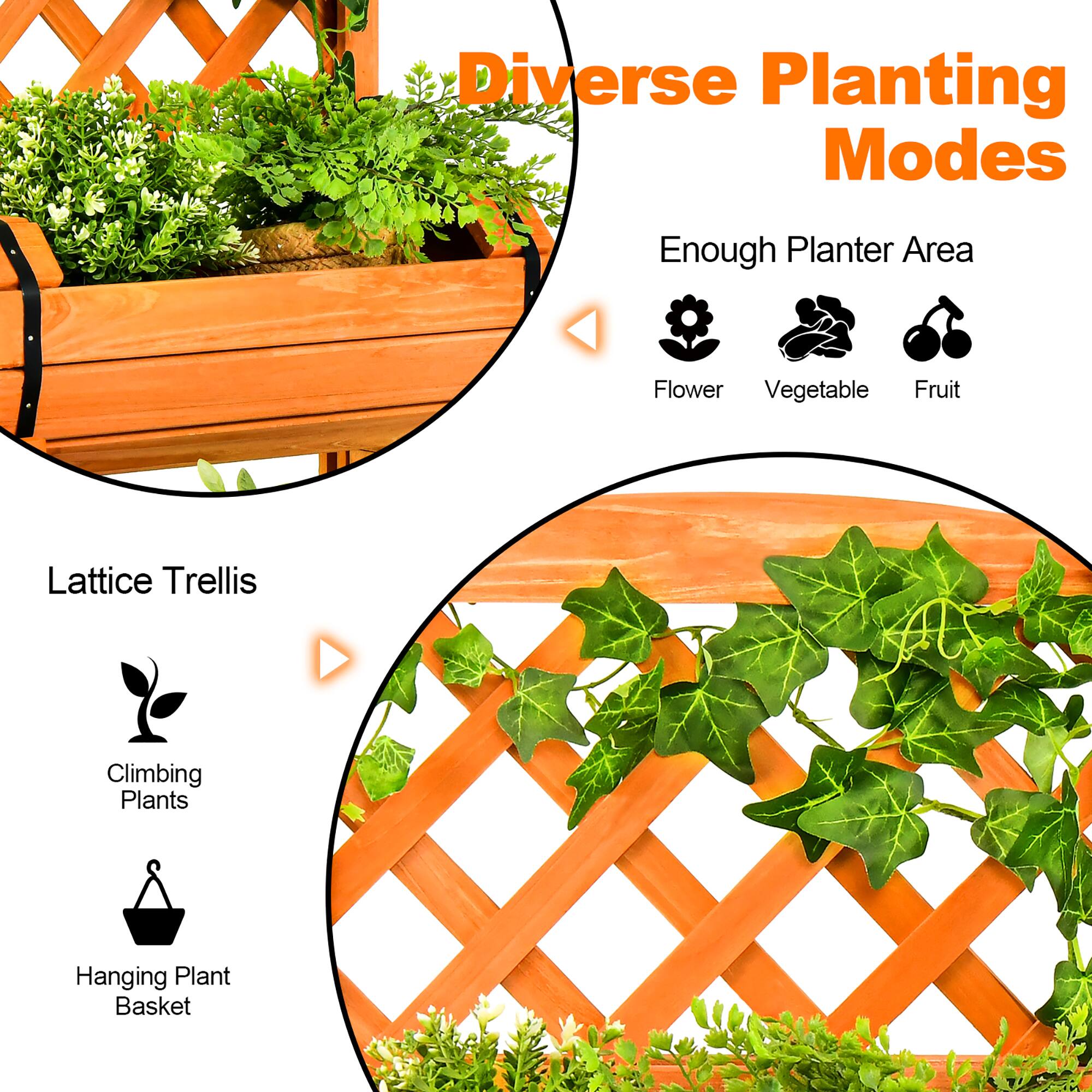 Diverse Planting Modes

Enough Planter Area
- Flower
- Vegetable
- Fruit

Lattice Trellis
- Climbing Plants
- Hanging Plant Basket