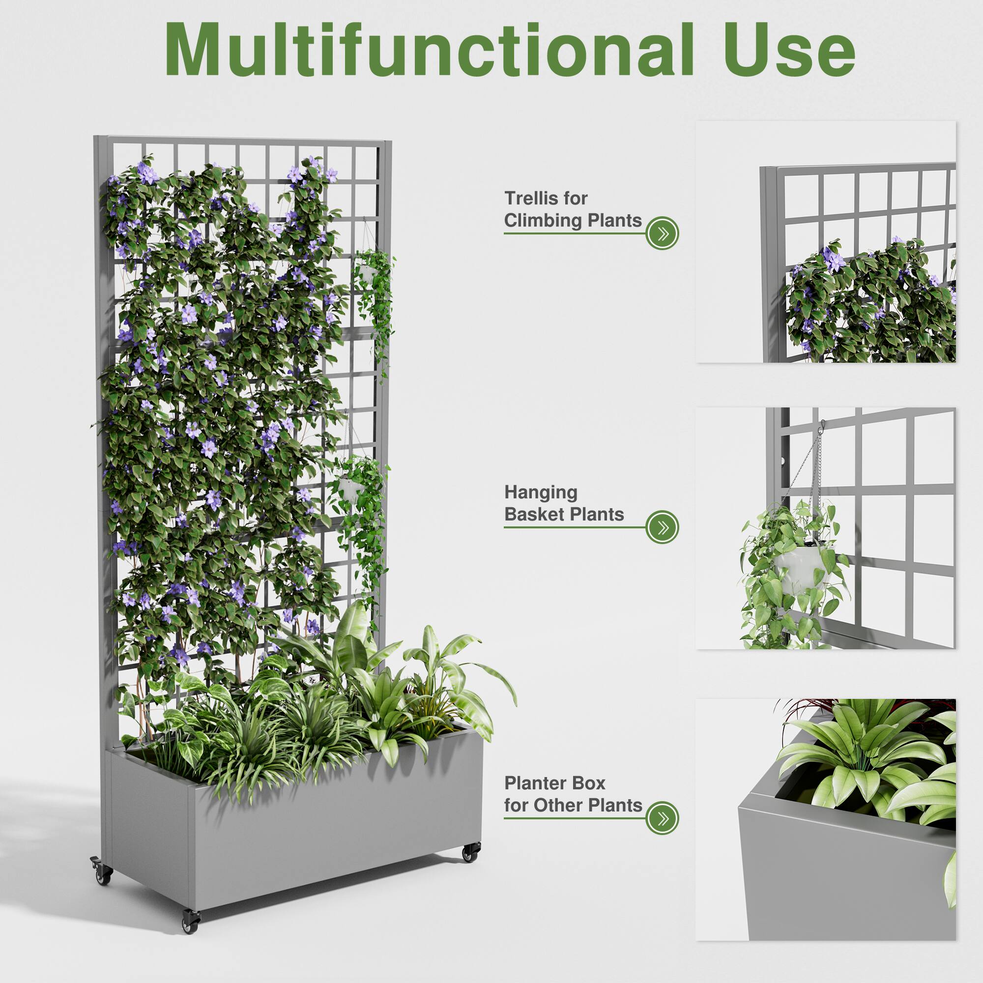 Multifunctional Use

- Trellis for Climbing Plants
- Hanging Basket Plants
- Planter Box for Other Plants