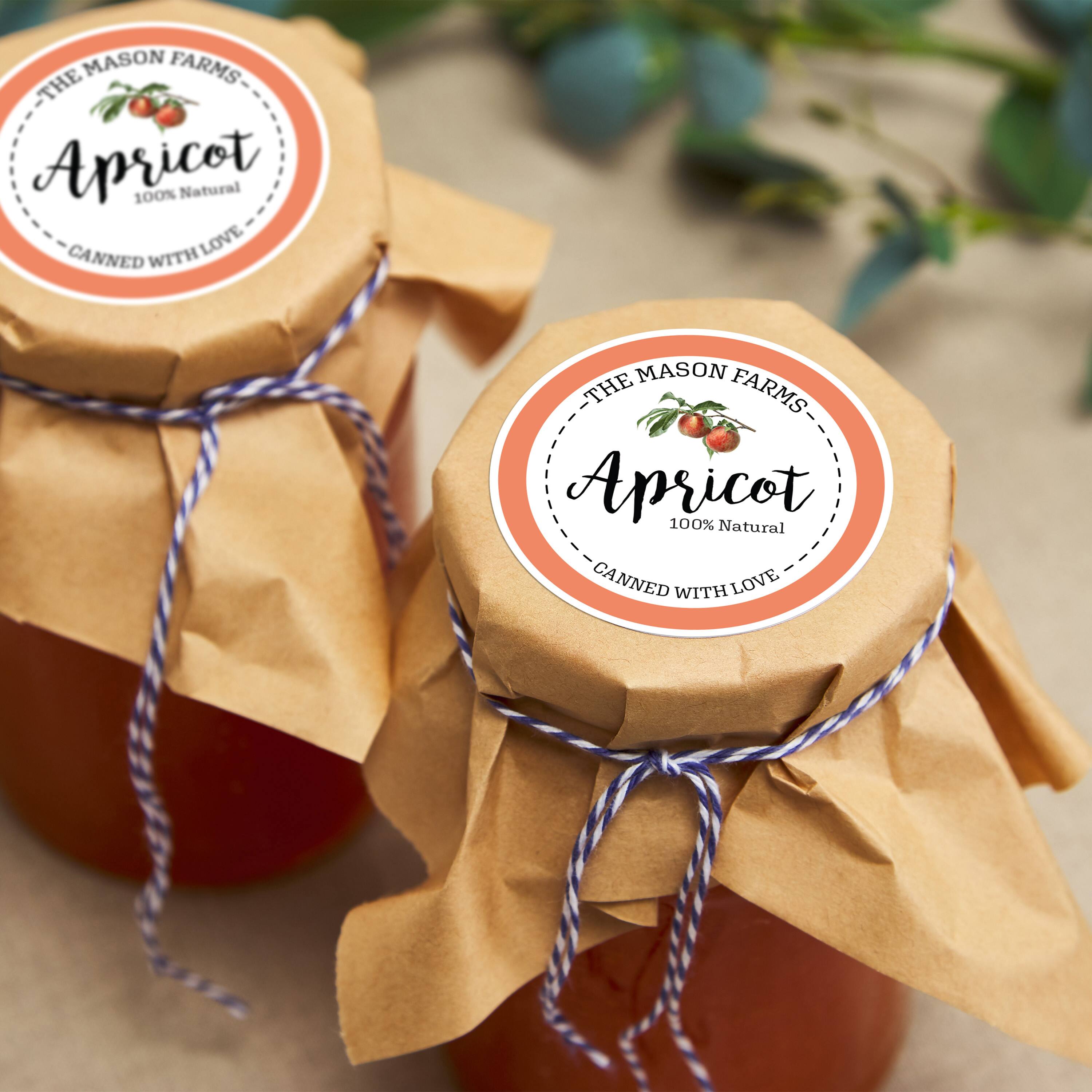 MASON FARMS - THE Apricot 100% Natural CANNED WITH LOVE