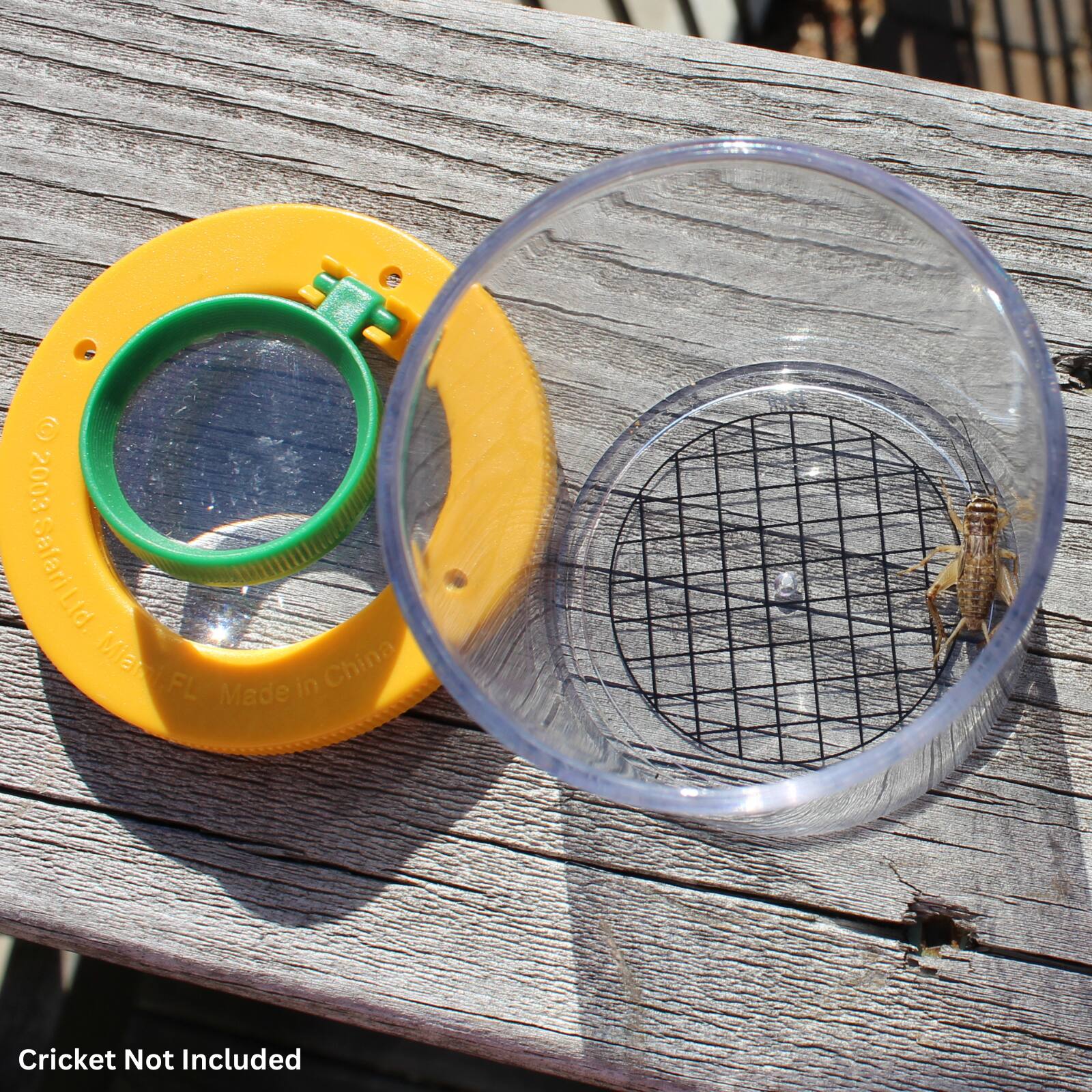 2003 SafariLad. ManiFL FL in China Made Cricket Not Included