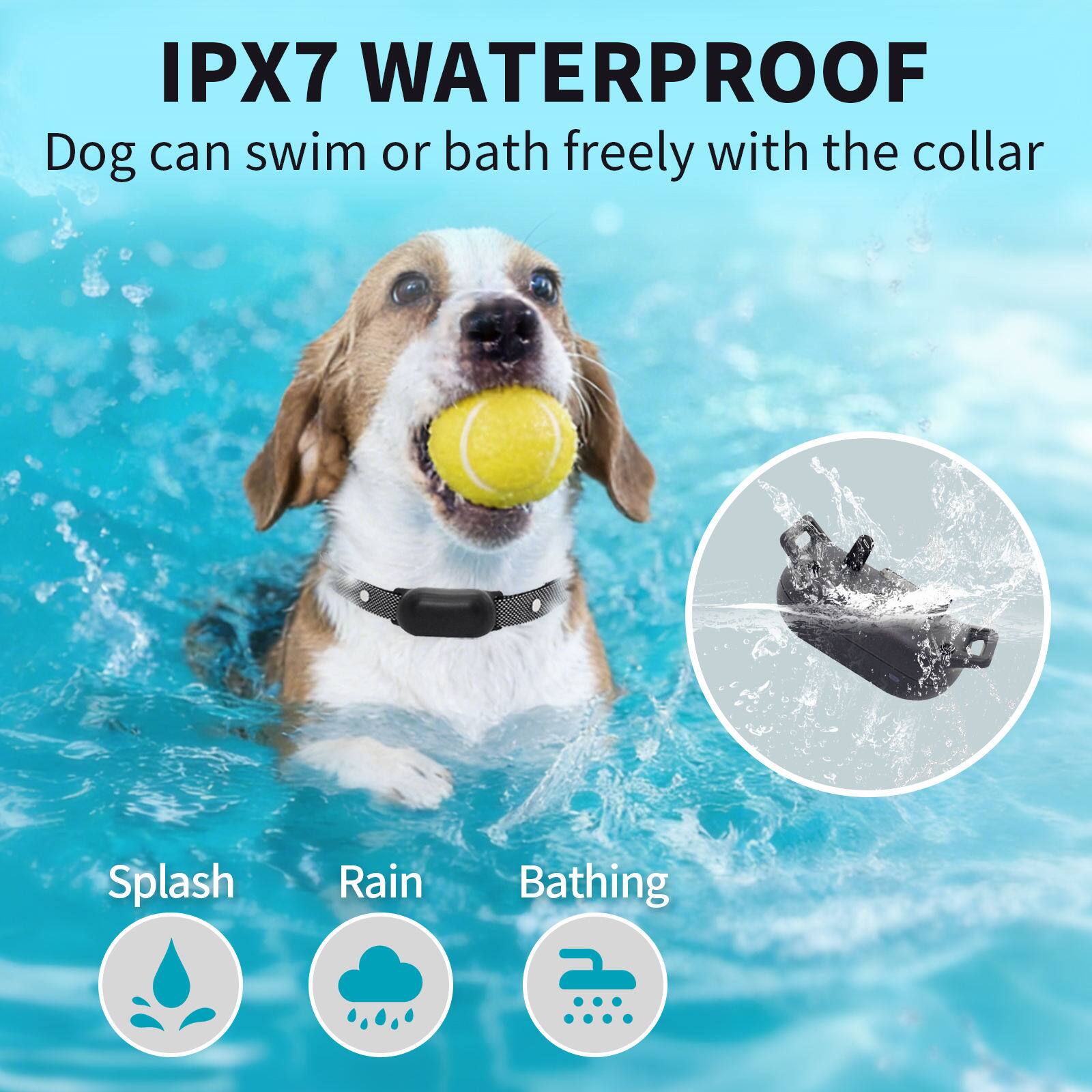 IPX7 WATERPROOF  
Dog can swim or bath freely with the collar  

Splash  
Rain  
Bathing