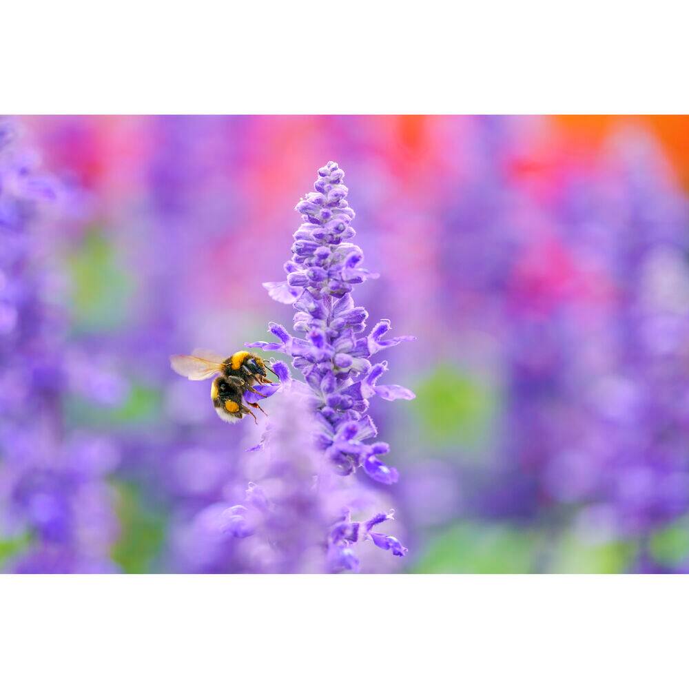 Alt View 6. Sigma - Sigma 105mm f/2.8 DG DN Macro Art Lens for Sony E Bundle (International Version).