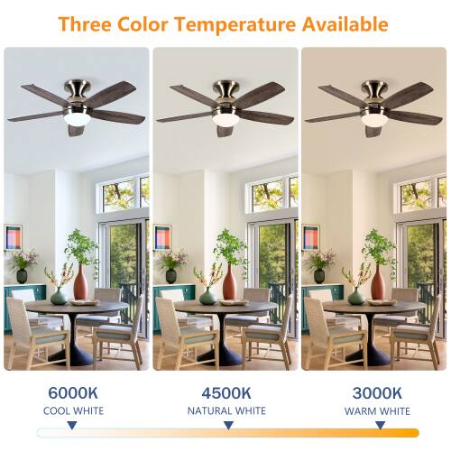 Three Color Temperature Available  
6000K COOL WHITE  
4500K NATURAL WHITE  
3000K WARM WHITE