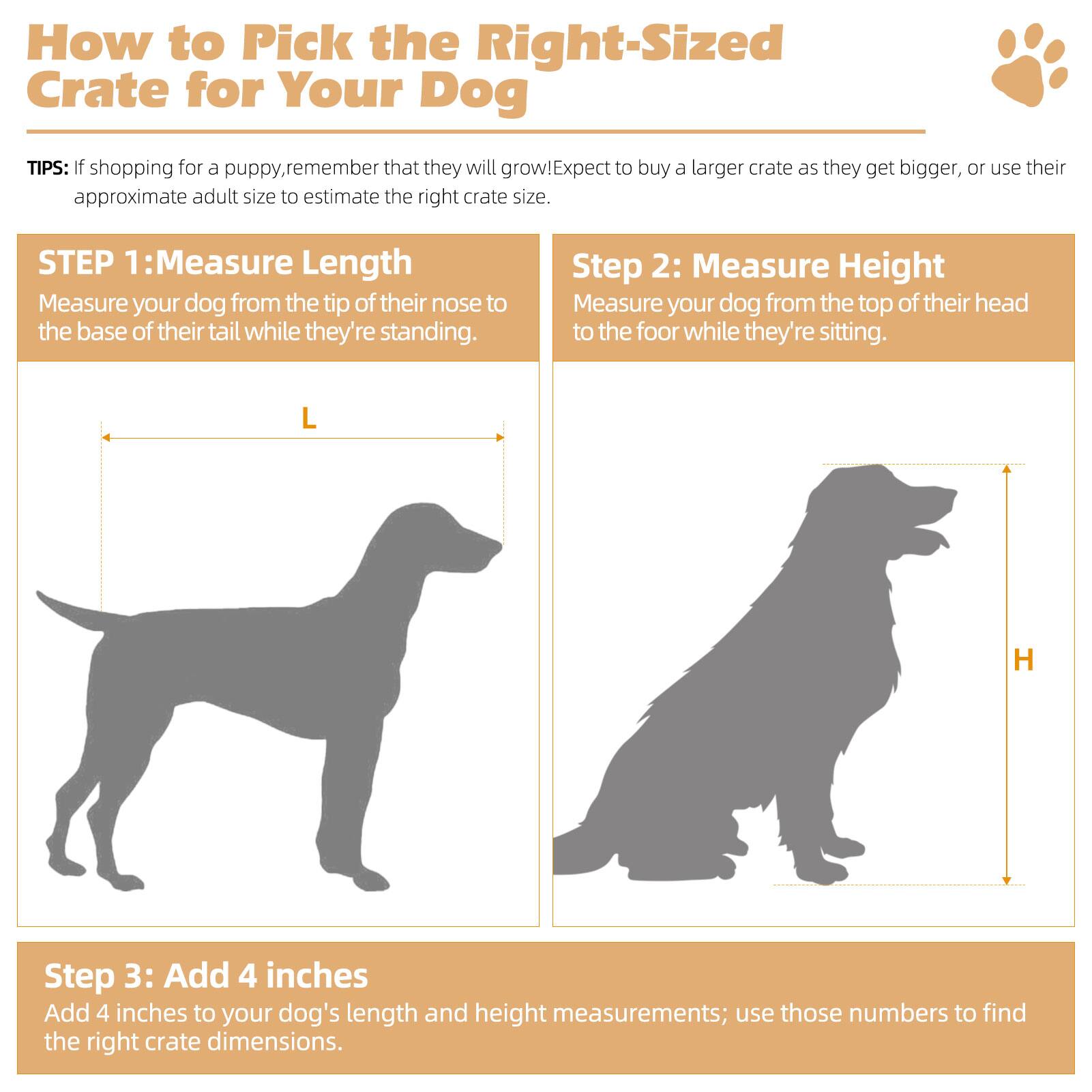 How to Pick the Right-Sized Crate for Your Dog

TIPS: If shopping for a puppy, remember that they will grow! Expect to buy a larger crate as they get bigger, or use their approximate adult size to estimate the right crate size.

STEP 1: Measure Length
Measure your dog from the tip of their nose to the base of their tail while they're standing.

Step 2: Measure Height
Measure your dog from the top of their head to the floor while they're sitting.

Step 3: Add 4 inches
Add 4 inches to your dog's length and height measurements; use those numbers to find the right crate dimensions.