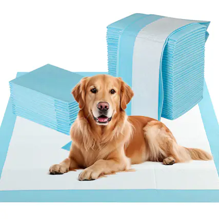 Front. Gymax - Gymax 36''x 36''(100 Counts) Dog Potty Training Pads Puppy Pee Pads w/ Quick-Drying - Blue.