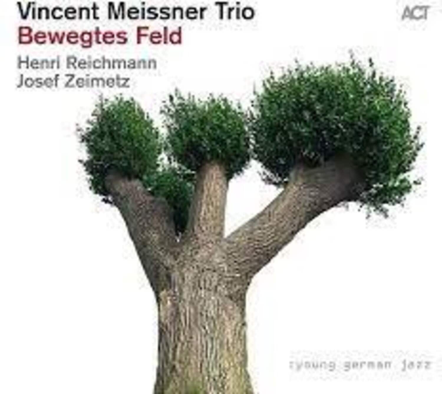 Vincent Trio Meissner - Bewegtes Feld   - COMPACT DISCS [CD] price history on PriceWatchPro