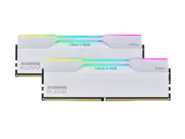 KLEVV - 32GB (2 x 16GB) DDR5 6000 (PC5 48000) Desktop Memory Model KD5AGUA80-60A300J - White