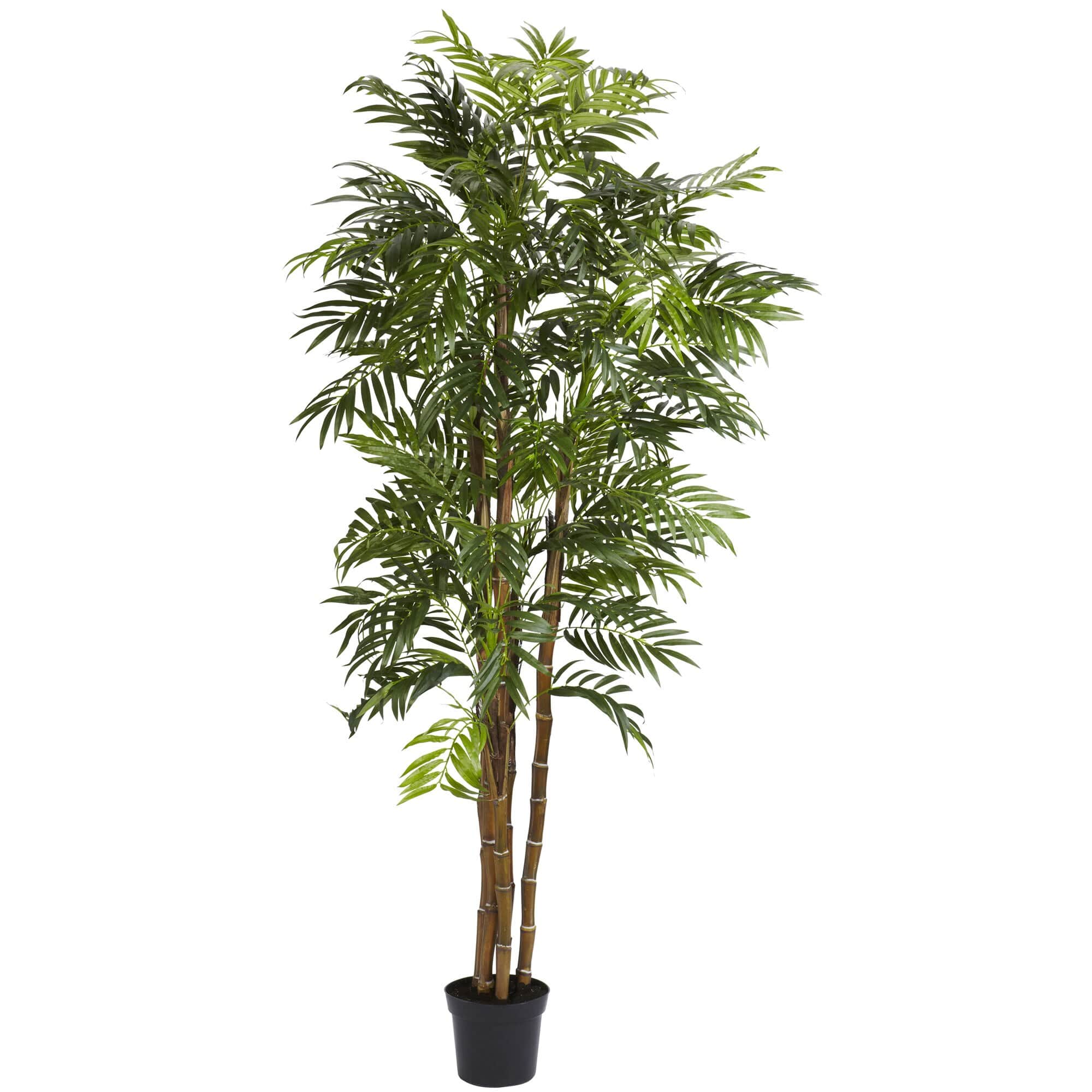 BreeBe - 6' Bella Palm Tree w/1496 Lvs - Green
