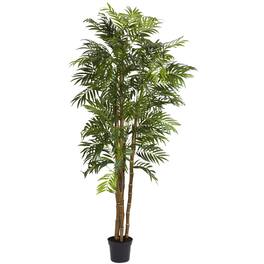 BreeBe - 6' Bella Palm Tree w/1496 Lvs - Green
